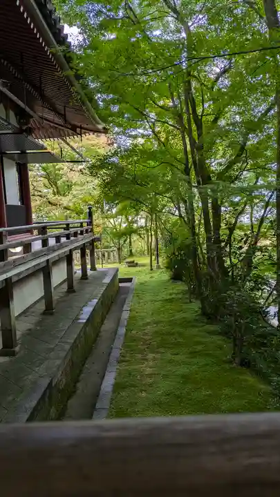 禅林寺(永観堂)(京都府)