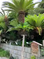 叶神社（東叶神社）の自然