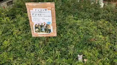 龍雲寺(大阪府)
