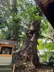 今宮神社(静岡県)