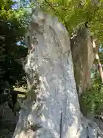雀神社(茨城県)