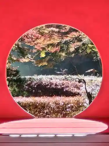 明月院(神奈川県)