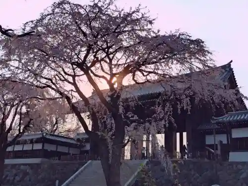 東郷寺(東京都)
