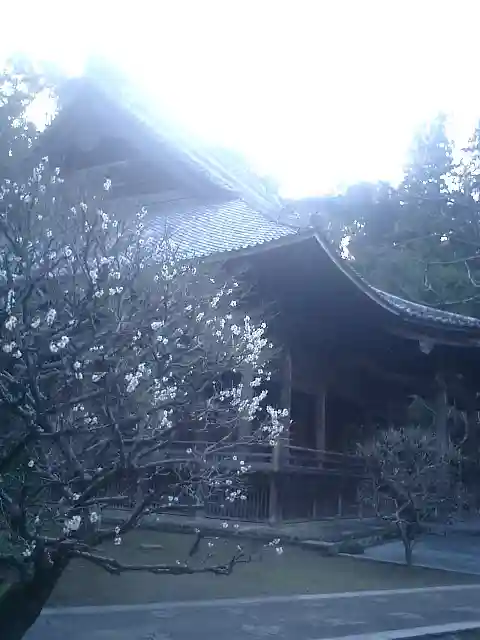 妙本寺のその他建物