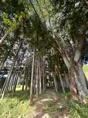 新宮神社(滋賀県)