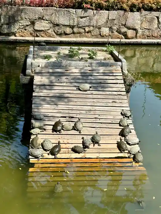 四天王寺の動物