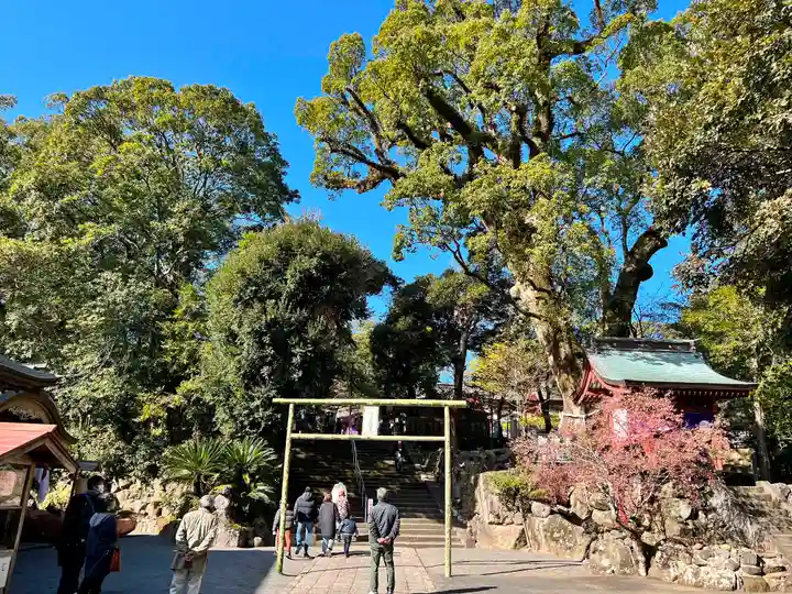 鹿児島神宮(鹿児島県)