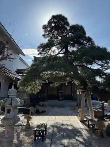 瑞光寺の{uncategorized: "未分類", other: "その他", undefined: "問題あり", building: "その他建物", grave: "お墓", sacred_gate: "鳥居", guardian: "狛犬", statue: "像", buddha: "仏像", history: "歴史", nature: "自然", garden: "庭園", animal: "動物", pagoda: "塔", temizu: "手水舎", mountain_gate: "山門・神門", sanctuary: "本殿・本堂", subordinate: "末社・摂社", art: "芸術", scenery: "景色", jizo: "地蔵", ema: "絵馬", goshuin: "御朱印", omikuji: "おみくじ", items: "授与品その他", amulet: "お守り", goshuincho: "御朱印帳", eats: "食事", festival: "お祭り", votive_dance: "神楽", shichigosan: "七五三参", wedding: "結婚式", experience: "体験その他", initially: "初詣", around: "周辺", anti_infection: "感染症対策"}