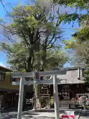 小芝八幡宮(静岡県)