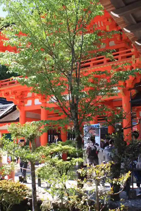 賀茂別雷神社(上賀茂神社)(京都府)