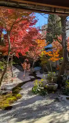 興聖寺(京都府)