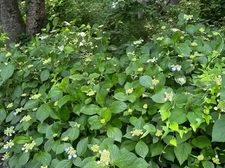 長野縣護國神社(長野県)