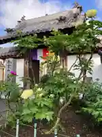 真言宗 善通寺派 薬王寺(香川県)