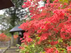 皇大神社(真田御屋敷跡)の自然