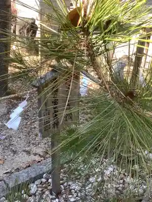 玉鉾神社の自然