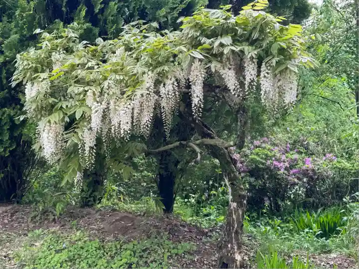 高屋敷稲荷神社(福島県)