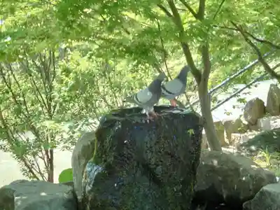 四柱神社(長野県)