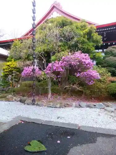 伊達神社の自然