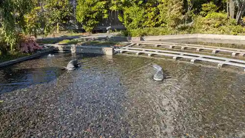 鉄道神社の庭園