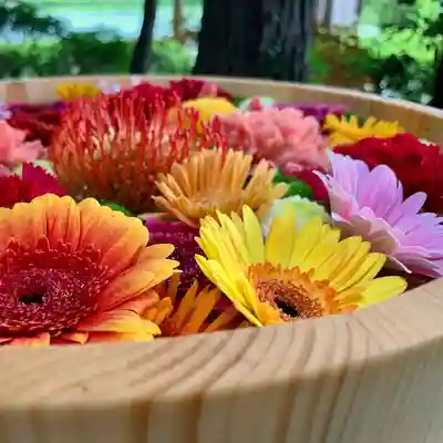 滑川神社 - 仕事と子どもの守り神の手水舎