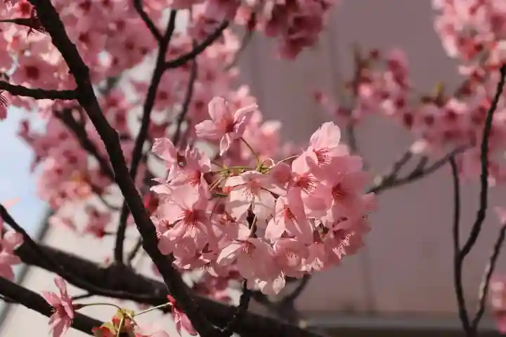 阿邪訶根神社の自然