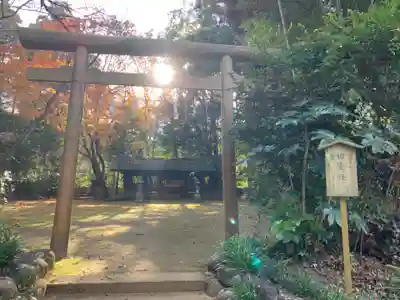 鹿島神宮の鳥居