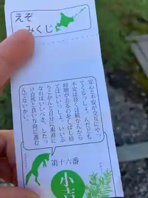 美瑛神社のおみくじ