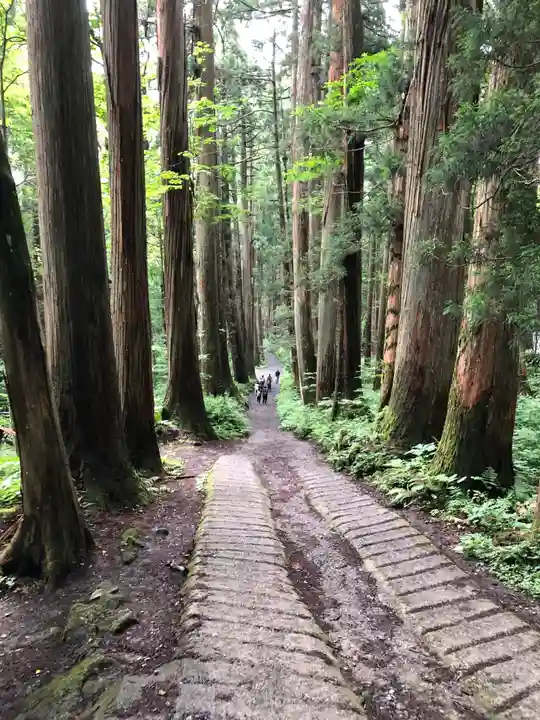 戸隠神社九頭龍社(長野県)