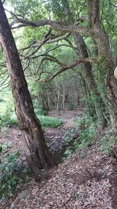 有鹿神社奥宮の周辺