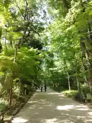 賀茂御祖神社（下鴨神社）(京都府)