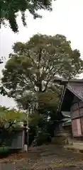 中川氷川神社(東京都)