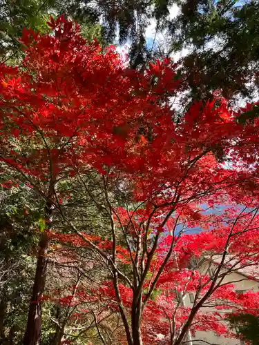 滑川神社 - 仕事と子どもの守り神の自然