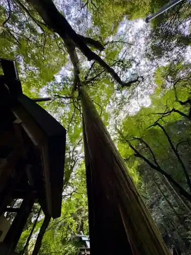 多度大社(三重県)
