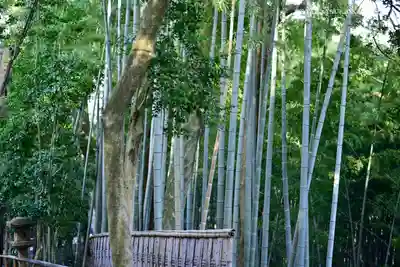 石清水八幡宮(京都府)