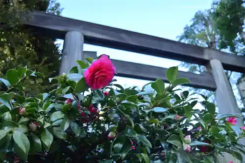 東京大神宮(東京都)