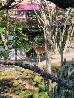 厚岸神社(北海道)