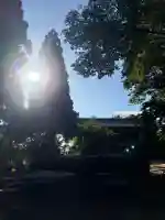 主乃雅神社(京都府)