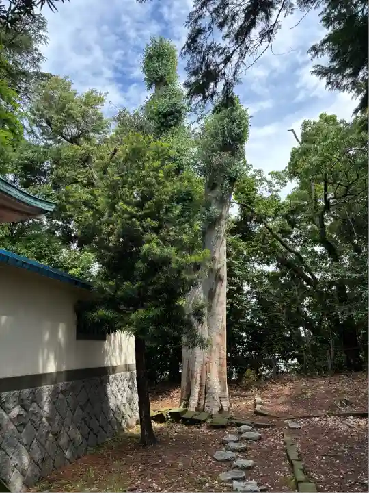 元城町東照宮(静岡県)