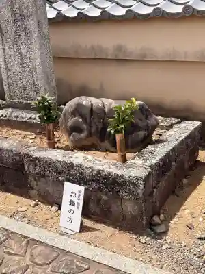 総見院の{uncategorized: "未分類", other: "その他", undefined: "問題あり", building: "その他建物", grave: "お墓", sacred_gate: "鳥居", guardian: "狛犬", statue: "像", buddha: "仏像", history: "歴史", nature: "自然", garden: "庭園", animal: "動物", pagoda: "塔", temizu: "手水舎", mountain_gate: "山門・神門", sanctuary: "本殿・本堂", subordinate: "末社・摂社", art: "芸術", scenery: "景色", jizo: "地蔵", ema: "絵馬", goshuin: "御朱印", omikuji: "おみくじ", items: "授与品その他", amulet: "お守り", goshuincho: "御朱印帳", eats: "食事", festival: "お祭り", votive_dance: "神楽", shichigosan: "七五三参", wedding: "結婚式", experience: "体験その他", initially: "初詣", around: "周辺", anti_infection: "感染症対策"}