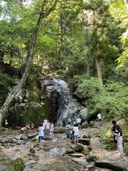 寿老滝石仏堂の自然