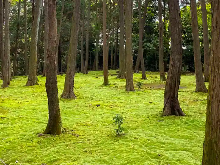 唐招提寺の自然