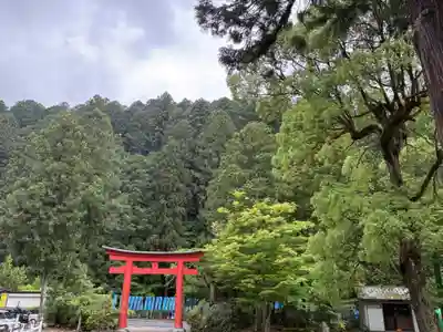 丹生川上神社（下社）(奈良県)