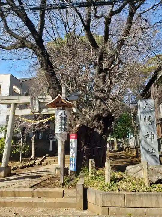 下高井戸八幡神社(東京都)
