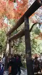 野宮神社の鳥居