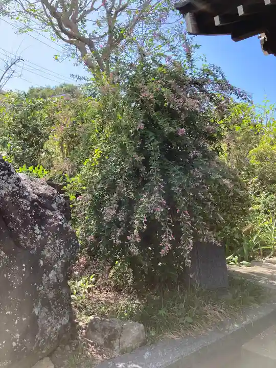 光照寺(神奈川県)