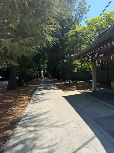 諏訪神社の{uncategorized: "未分類", other: "その他", undefined: "問題あり", building: "その他建物", grave: "お墓", sacred_gate: "鳥居", guardian: "狛犬", statue: "像", buddha: "仏像", history: "歴史", nature: "自然", garden: "庭園", animal: "動物", pagoda: "塔", temizu: "手水舎", mountain_gate: "山門・神門", sanctuary: "本殿・本堂", subordinate: "末社・摂社", art: "芸術", scenery: "景色", jizo: "地蔵", ema: "絵馬", goshuin: "御朱印", omikuji: "おみくじ", items: "授与品その他", amulet: "お守り", goshuincho: "御朱印帳", eats: "食事", festival: "お祭り", votive_dance: "神楽", shichigosan: "七五三参", wedding: "結婚式", experience: "体験その他", initially: "初詣", around: "周辺", anti_infection: "感染症対策"}