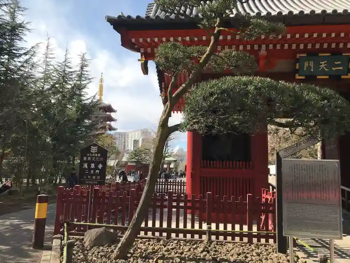 浅草神社のその他建物
