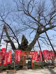 秩父今宮神社の自然