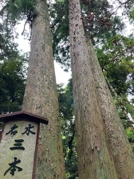 笠森寺(千葉県)