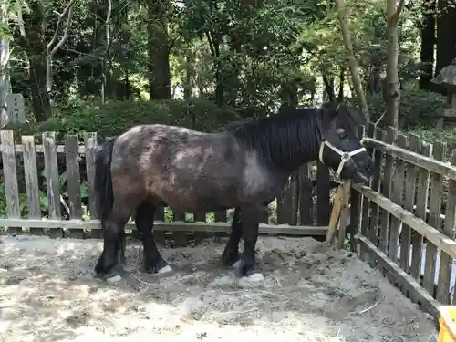 相馬中村神社の動物